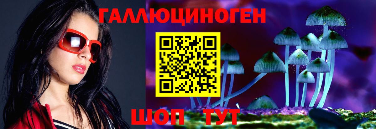 Галлюциногенные грибы Cubensis  Галлюциногенные грибы ЛСД  Вход с VPN  Лениногорск 